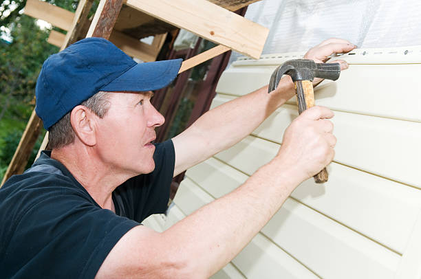 Best Siding Painting and Refinishing  in Rosamond, CA