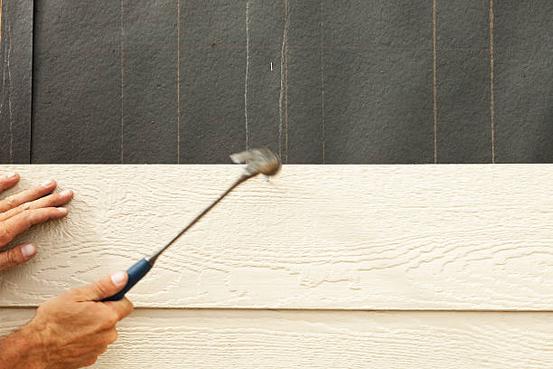 Best Storm Damage Siding Repair  in Rosamond, CA